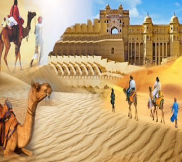 Rajasthan Camel Safari Tour
